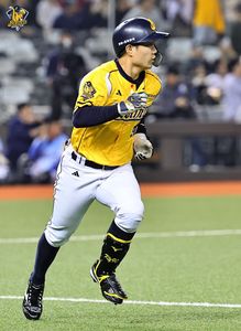 江坤宇關鍵安打終結兄弟39局得分荒 莎菈擊掌加油成致勝力量