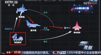 央視揭秘：中國武器助巴軍擊落印度飆風戰機的驚人細節