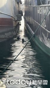 高雄港驚魂記：落海漁工奇蹟游上岸，消防全力搜救