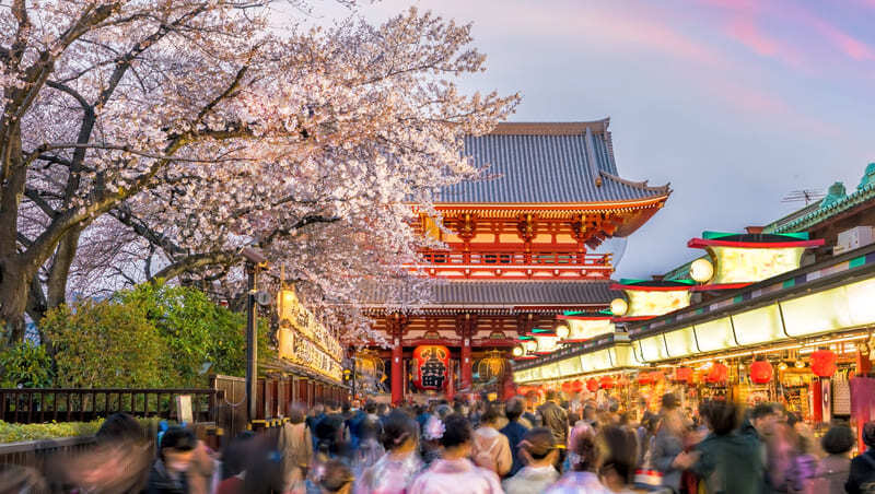 去不了歐洲,改排長隊去賞櫻!日本成俄羅斯人旅遊新熱點