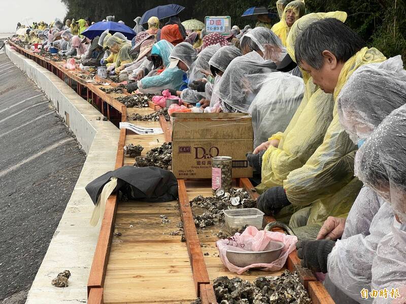 金門石蚵文化季千人雨中剝蚵 非洲遊客共襄盛舉