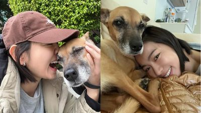 愛犬罹癌「遭疑硬要工作賺錢」 米可白親曝真實心聲