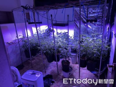 外籍家教雙面人生：台灣教學背後竟是大麻毒梟