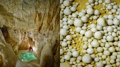 貴州驚現4.8億年前「地下水晶宮」：全球罕見洞穴沉積物基因庫