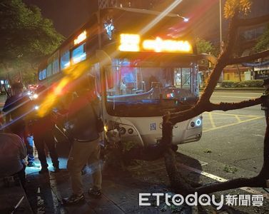 驚魂一刻！國光客運深夜撞上士林路樹 乘客驚嚇報警