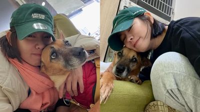 米可白認情緒不穩又難受 心疼愛犬罹癌快走了:我好無力