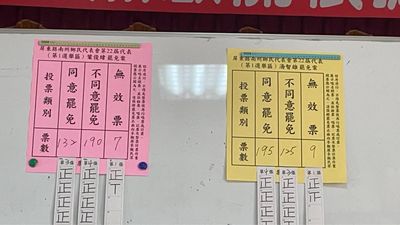 屏東南州鄉民代表罷免案雙雙落敗：葉俊緯與湯智雄成功留任
