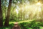 立夏好運來！五大生肖財運愛情齊開掛，專家詳解運勢秘訣
