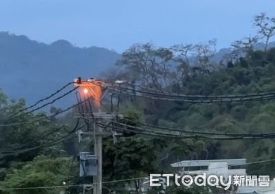 高雄電線桿驚爆！松鼠觸電釀災 320戶一度停電