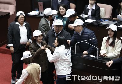 游智彬大鬧立院狂酸綠白委「卻無助理證」 陳玉珍護航:我現在聘他