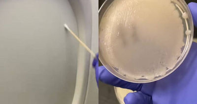 驚人發現！飛機上這4處藏滿細菌，專家建議穿長袖上機
