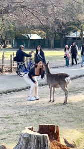 奈良公園驚現「最兇風景」：女遊客火辣裝扮引發網友「想變鹿」熱潮