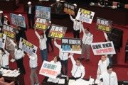 藍公投案被擋 25日院會再戰