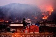 韓國野火史上最嚴重 增至28死 逾3.8萬公頃林地被毀