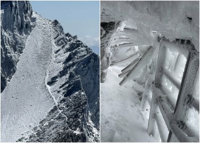 冰封高山「有雪地3寶也很危險」!國家公園署籲:還沒上山的人改期