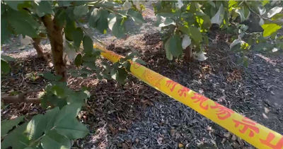 「芭樂公主」慘遭前男友亂刀砍殺26刀身亡 判無期徒刑震驚社會