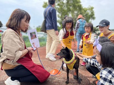 新北動保處推出兒童節特展：遛狗賞蛇學生命教育