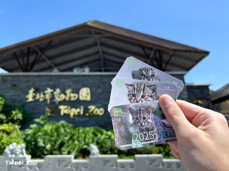台北動物園母親節驚喜：推出限量超萌石虎門票，動物媽媽享茶點