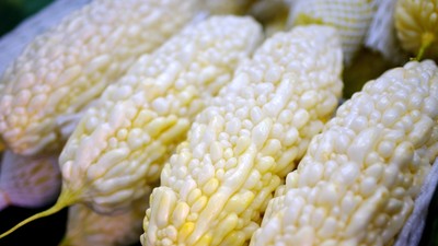 「小滿」節氣開運秘訣：絲巾、苦食與感恩儀式帶來好運