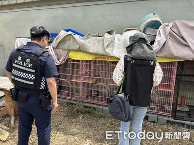 台南餐廳後方驚現3貓屍白骨！飼主未就醫致死引網友怒轟