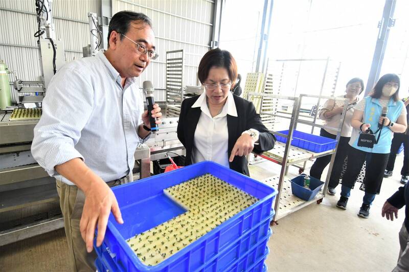 全台最大水耕蔬菜基地「日光蔬活」彰化落成 8月底前啟用