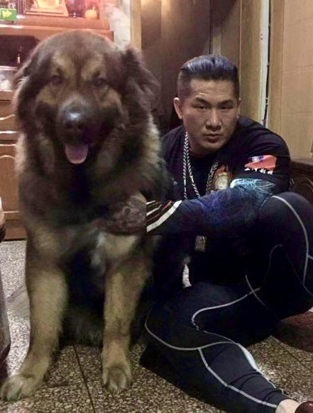 館長痛別12歲愛犬大雄：放手安樂，終結病痛折磨