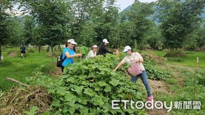 花蓮桐花小旅行報名起跑!農園採菜手作剝皮辣椒 品嚐客家料理