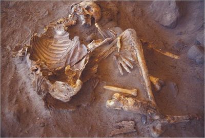 7000年前神秘人類在綠色撒哈拉生活：最古老木乃伊DNA揭示未知血統