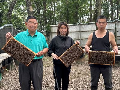 新北四代蜂農追花期 勇奪全國特等蜜獎項