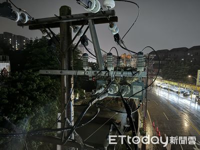 鳥巢引發桃園八德區4324戶大停電 台電搶修後迅速復電