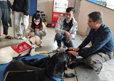 元智大學導盲犬進校園 學子體驗愛與陪伴的力量