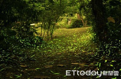 ESG新時代：李坤璋揭示企業如何應對全球永續挑戰