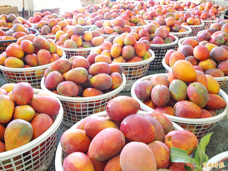 EU Opens Doors to Taiwanese Mangoes and Guavas After Years of Ban