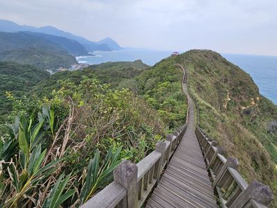 探索瑞芳海景與山海美景：鼻頭漁港半日遊，品嚐海鮮與咖啡