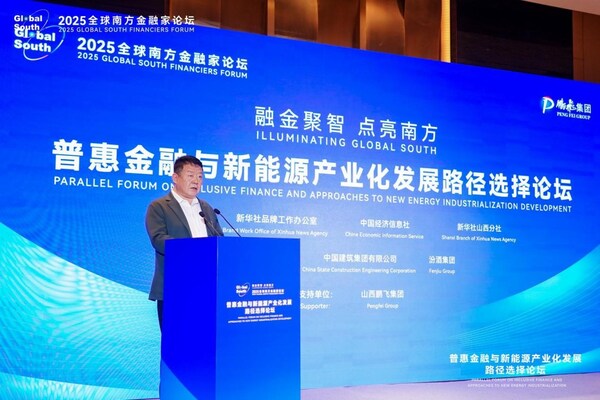 新华丝路:鹏飞集团在2025年全球南方金融家论坛平行论坛上面向全球南方能源企业分享绿色发展新范式