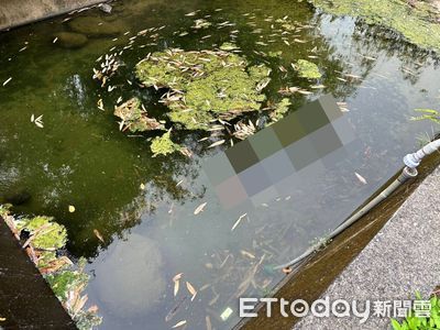 修水管疑失足撞頭昏迷 南投61歲男野溪溺水身亡