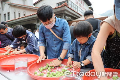 南投梅子節盛大開幕 500人齊聚體驗手作脆梅與梅子美食饗宴