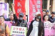 新聞眼/亞亞案 民進黨100%言論自由去哪