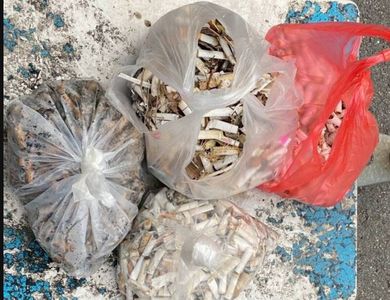 彰化環保大行動：870人齊心清除30萬支菸蒂，迎接世界地球日