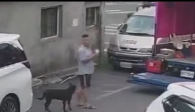 忠犬黑狗助破竊案！白沙屯媽祖進香團對講機被竊始末