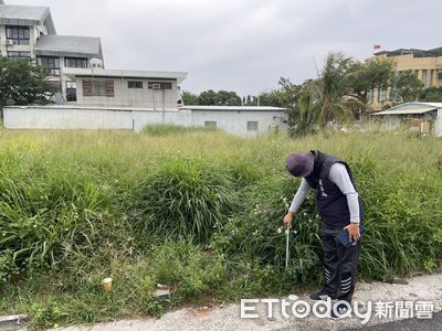 台東縣都市環境大躍進：雜草陳情減少10%，改善率達95%