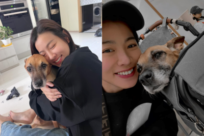 米可白愛犬胃癌續戰：20天花費9萬元，仍堅持不放棄