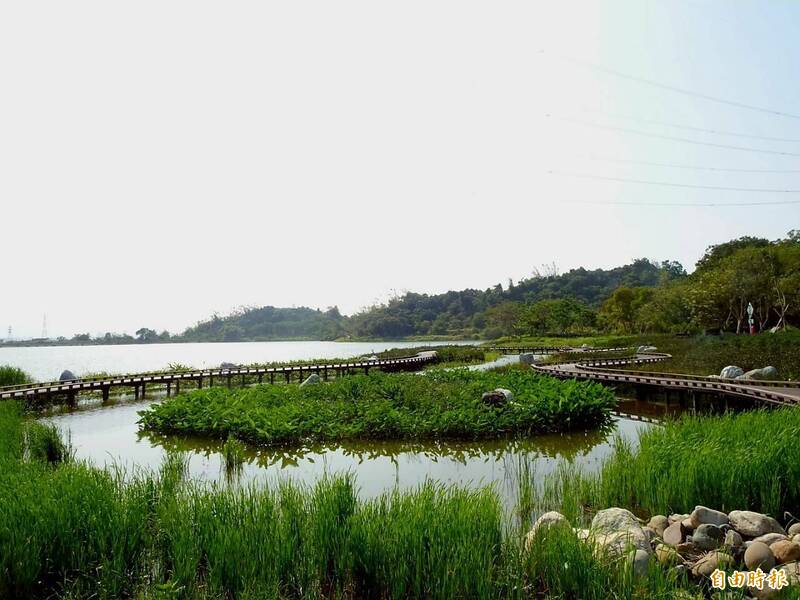 高雄觀音湖蛻變新地標：500隻螢火蟲成為生態亮點
