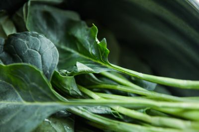 5種超級食物助你對抗掉髮！菠菜成關鍵救星