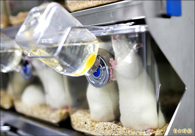 國光生技實驗室鼠患污染風波 食藥署確認疫苗安全但4項違規將受罰