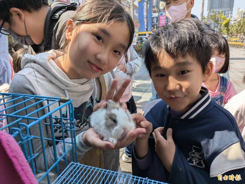 高雄推寵物認養 500犬貓找到新家