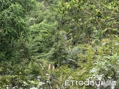 宜蘭武荖坑驚魂！皮卡車失控墜崖 駕駛命喪山谷