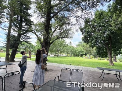台南山上水道博物館成鳥類天堂：黑冠麻鷺築巢育雛引遊客駐足
