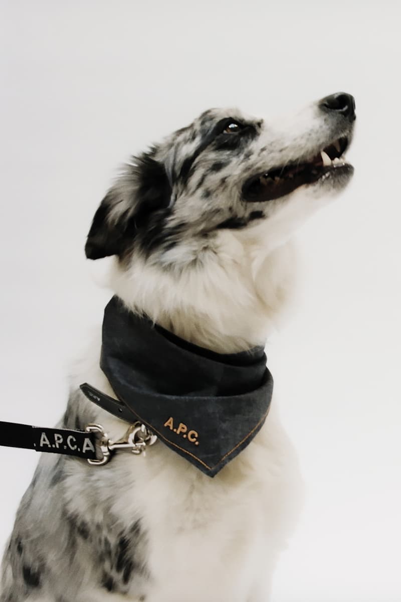A.P.C. 正式推出首個寵物犬系列「TOUTOU」
