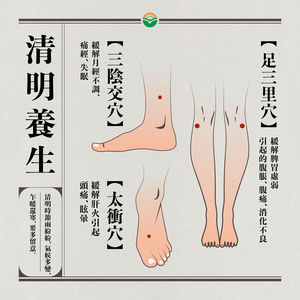 清明養生秘訣：中醫推薦2款食療與3大穴位護肝健脾